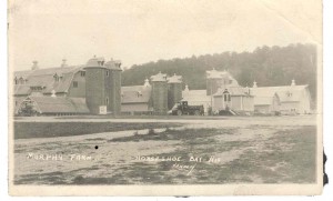 Horseshoe Bay Farms Barns, Egg Harbor